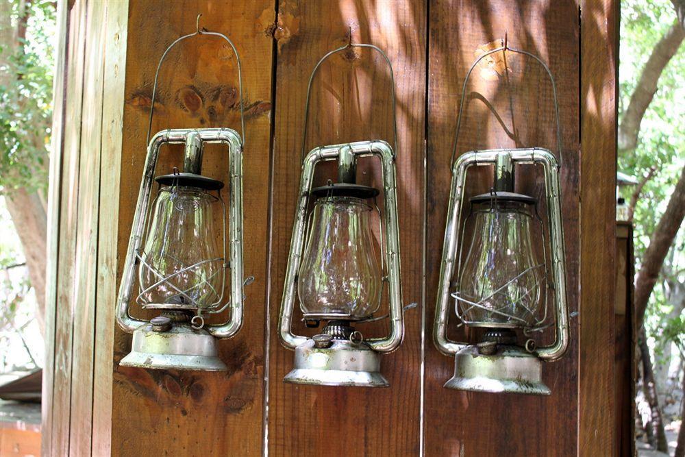 Sederkloof Lodge Studtis Exteriör bild